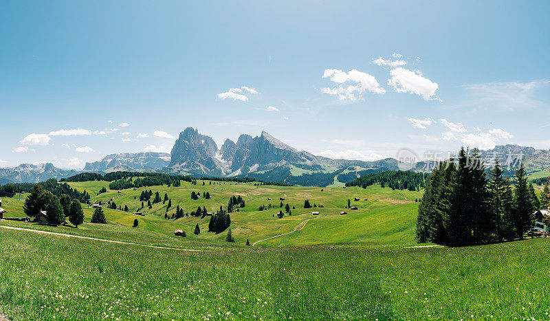 Alpe di Siusi与Sassolungo, Langkofel山脉群在Dolomites，意大利